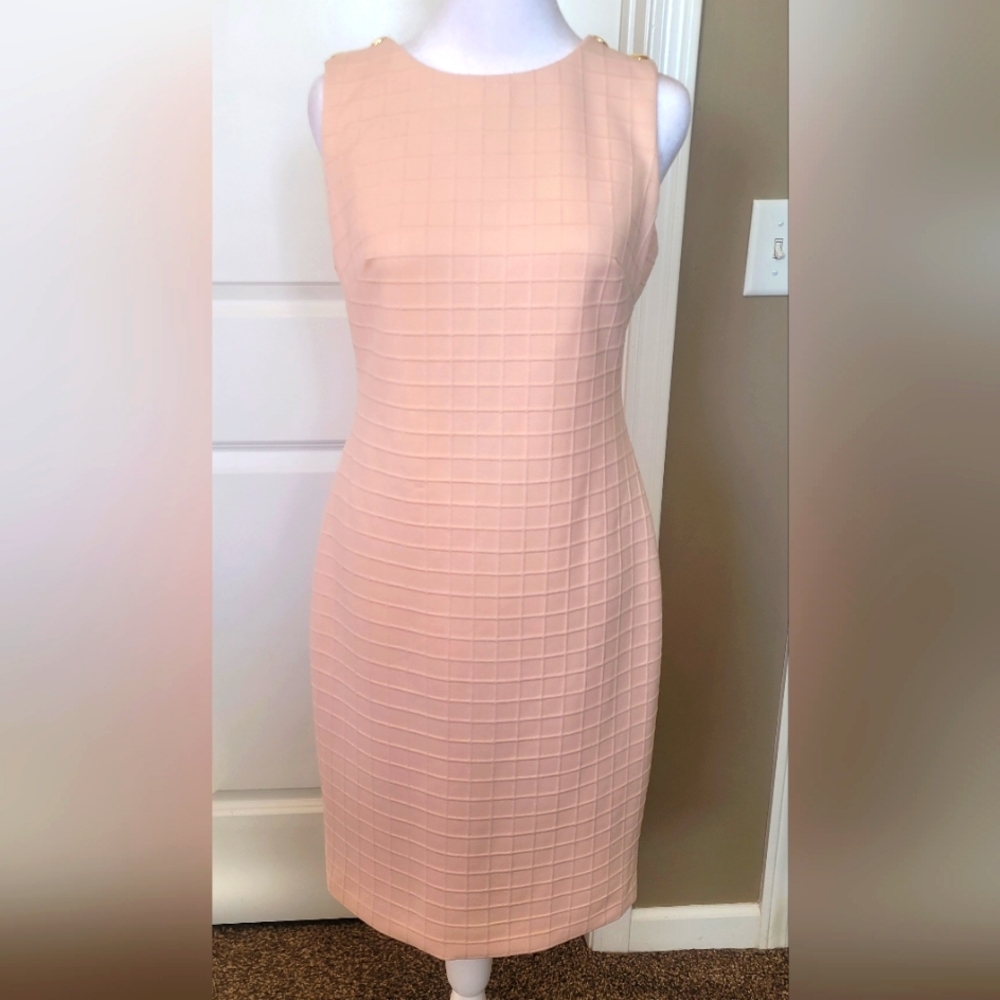 Tommy Hilfiger Sleeveless, Sheath, Soft Pink Dress, Size 4